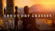 Backdrop of About Dry Grasses image size 3840x2160