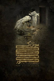 The Blind Mouse