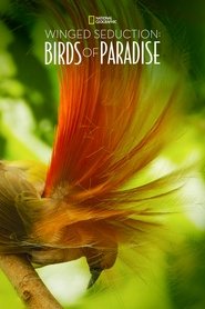 poster Winged Seduction: Birds of Paradise