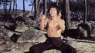 Bruce and Shaolin Kung Fu wallpaper 