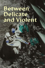 Between Delicate and Violent Poster