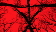 Blair Witch wallpaper 