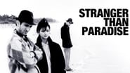 Stranger Than Paradise wallpaper 