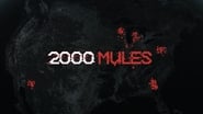 2000 Mules wallpaper 