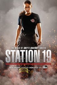 Poster of Station 19 image size 800x1200