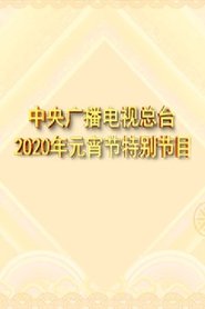 2020年中央广播电视总台元宵节特别节目