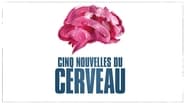 Cinq nouvelles du cerveau wallpaper 