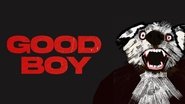 Backdrop of Good Boy image size 1920x1080
