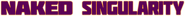 Logo of Naked Singularity image size 4316x369
