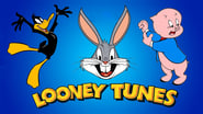 Looney Tunes Collection: Best Of Daffy And Porky Volume 1 wallpaper 