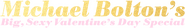 Logo of Michael Bolton's Big, Sexy Valentine's Day Special image size 1278x195