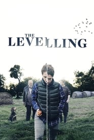 The Levelling 2017 123movies