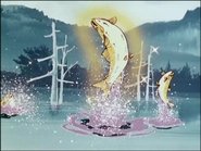 La pesca durante l'eclissi