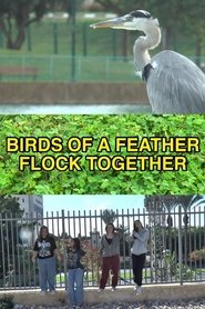 poster Birds of a Feather Flock Together