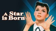Backdrop of A Star Is Born image size 1280x720