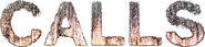 Logo of Calls image size 1910x449