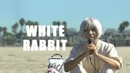 Backdrop of White Rabbit image size 1712x964