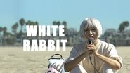 White Rabbit wallpaper 