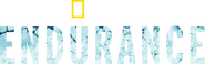 Logo of Endurance image size 4118x1298