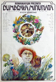 poster The Enchanted Grove