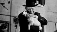 Umberto D. wallpaper 