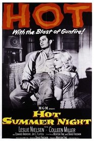 Poster of Hot Summer Night image size 750x1125