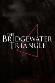 The Bridgewater Triangle