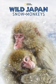 Snow Monkeys