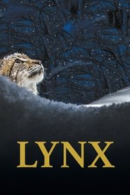 poster Lynx