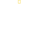 Logo of World's Biggest Bull Shark? image size 1878x1300