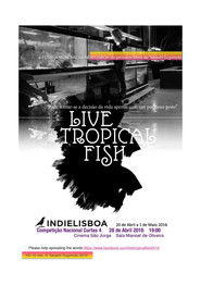 Live Tropical Fish poster