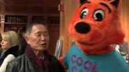 Cool Cat's Crazy Dream wallpaper 