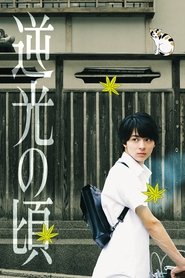 poster Lights of Kyoto