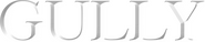 Logo of Gully image size 1393x287