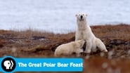 The Great Polar Bear Feast wallpaper 