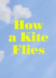 poster How a Kite Flies