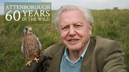 Backdrop of Attenborough: 60 Years in the Wild image size 1920x1080