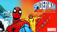 Spider-Man et Ses Amis Extraordinaires  