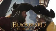 La Véritable Histoire de Barbe Noire le pirate  