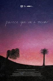 poster Parece que va a nevar