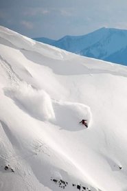 poster TRAVIS RICE || RESETTER