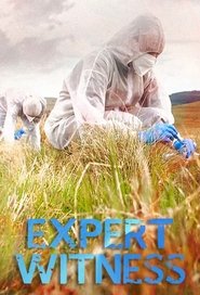 Poster of Expert Witness image size 680x1000