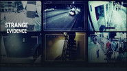 Backdrop of Strange Evidence image size 1280x720