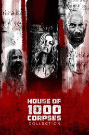 Poster image size 2000x3000