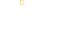 Logo of Blink image size 2361x1242