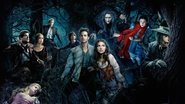 Into the Woods : Promenons-nous dans les bois wallpaper 