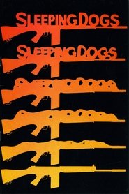 poster Sleeping Dogs