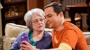 The Big Bang Theory season 12 episode 8