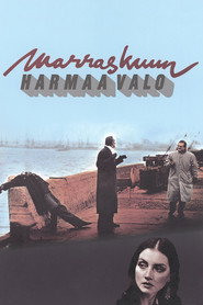 Marraskuun harmaa valo