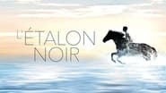 L'Étalon noir wallpaper 